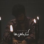 کنار ماهی‌ها